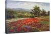 Campo di Fiore II-Hulsey-Stretched Canvas