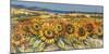 Campo di girasoli-Luigi Florio-Mounted Art Print