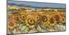 Campo di girasoli-Luigi Florio-Mounted Art Print