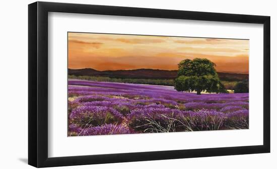 Campo di lavanda-Valerio Sella-Framed Art Print