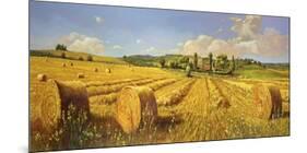 Campo in Toscana-Andrea Del Missier-Mounted Art Print