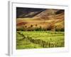 Campos Do Jordao, Brazil-null-Framed Photographic Print