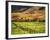 Campos Do Jordao, Brazil-null-Framed Photographic Print