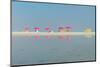 Camps Bay Beach Umbrellas-Richard Silver-Mounted Photographic Print