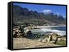 Camps Bay, Cape Town, South Africa, Africa-Yadid Levy-Framed Stretched Canvas