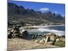 Camps Bay, Cape Town, South Africa, Africa-Yadid Levy-Mounted Photographic Print