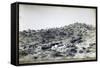 Campsite of First Regiment of African Hunters in Tamarisco Area, Eritrea-null-Framed Stretched Canvas