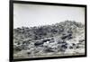 Campsite of First Regiment of African Hunters in Tamarisco Area, Eritrea-null-Framed Giclee Print