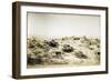 Campsite of First Regiment of African Hunters in Tamarisco Area, Eritrea-null-Framed Giclee Print