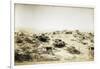 Campsite of First Regiment of African Hunters in Tamarisco Area, Eritrea-null-Framed Giclee Print