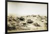 Campsite of First Regiment of African Hunters in Tamarisco Area, Eritrea-null-Framed Giclee Print