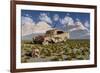 Campsognathus Dinosaurs Explore a Fossilized 1950's American Chevrolet-null-Framed Art Print