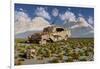 Campsognathus Dinosaurs Explore a Fossilized 1950's American Chevrolet-null-Framed Art Print