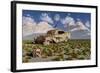 Campsognathus Dinosaurs Explore a Fossilized 1950's American Chevrolet-null-Framed Art Print