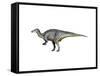 Camptosaurus Dinosaur-null-Framed Stretched Canvas