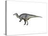 Camptosaurus Dinosaur-null-Stretched Canvas