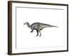 Camptosaurus Dinosaur-null-Framed Art Print