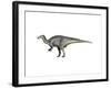 Camptosaurus Dinosaur-null-Framed Art Print