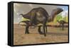 Camptosaurus Dinosaurs Visit a Pond to Eat and Drink-null-Framed Stretched Canvas