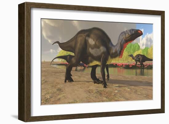 Camptosaurus Dinosaurs Visit a Pond to Eat and Drink-null-Framed Art Print