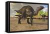 Camptosaurus Dinosaurs Visit a Pond to Eat and Drink-null-Framed Stretched Canvas