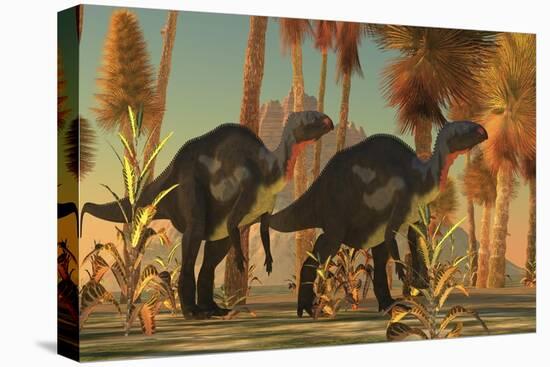 Camptosaurus Dinosaurs Wander Through a Prehistoric Jungle-null-Stretched Canvas