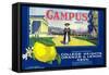 Campus Lemon Label - Claremont, CA-Lantern Press-Framed Stretched Canvas