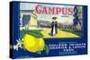 Campus Lemon Label - Claremont, CA-Lantern Press-Stretched Canvas