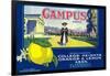 Campus Lemon Label - Claremont, CA-Lantern Press-Framed Art Print