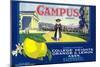 Campus Lemon Label - Claremont, CA-Lantern Press-Mounted Art Print