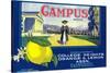 Campus Lemon Label - Claremont, CA-Lantern Press-Stretched Canvas