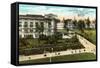 Campus, University of Washington-null-Framed Stretched Canvas