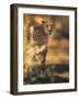 Camuflage-Ahmed Sobhi-Framed Giclee Print