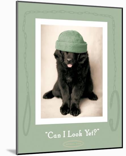 Can I Look Yet-Rachael Hale-Mounted Premium Giclee Print