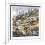 Can't see the Forest-Boyle-Framed Collectable Print