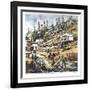 Can't see the Forest-Boyle-Framed Collectable Print