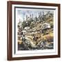 Can't see the Forest-Boyle-Framed Collectable Print