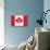 Canada - 150th Anniversary-Trends International-Stretched Canvas displayed on a wall