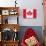 Canada - 150th Anniversary-Trends International-Stretched Canvas displayed on a wall