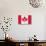 Canada - 150th Anniversary-Trends International-Stretched Canvas displayed on a wall