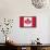 Canada - 150th Anniversary-Trends International-Framed Stretched Canvas displayed on a wall