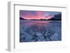 Canada, Alberta, Abraham Lake. Winter Sunrise over Lake and Mount Michener-Jaynes Gallery-Framed Photographic Print