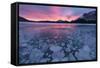 Canada, Alberta, Abraham Lake. Winter Sunrise over Lake and Mount Michener-Jaynes Gallery-Framed Stretched Canvas