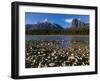 Canada, Alberta, Athabasca River and Canadian Rockies in Jasper NP-Mike Grandmaison-Framed Photographic Print