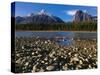 Canada, Alberta, Athabasca River and Canadian Rockies in Jasper NP-Mike Grandmaison-Stretched Canvas