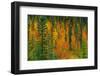 Canada, Alberta. Autumn in a Meadow-Jaynes Gallery-Framed Photographic Print