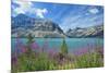 Canada, Alberta, Banff National Park. Crowfoot Mountains and fireweeds along Bow Lake.-Jaynes Gallery-Mounted Photographic Print