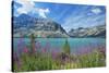 Canada, Alberta, Banff National Park. Crowfoot Mountains and fireweeds along Bow Lake.-Jaynes Gallery-Stretched Canvas