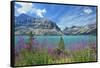 Canada, Alberta, Banff National Park. Crowfoot Mountains and fireweeds along Bow Lake.-Jaynes Gallery-Framed Stretched Canvas