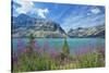 Canada, Alberta, Banff National Park. Crowfoot Mountains and fireweeds along Bow Lake.-Jaynes Gallery-Stretched Canvas